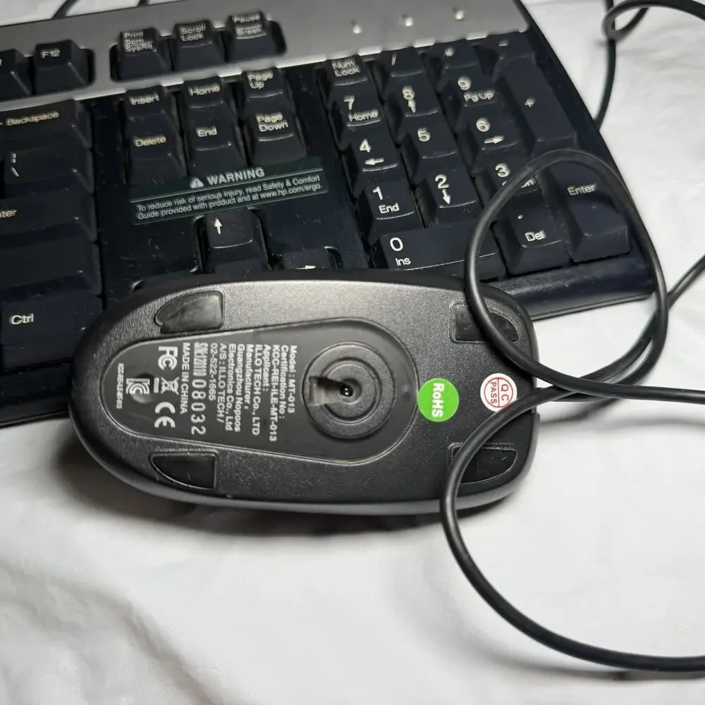 Genuine HP 104 Keys Standard Black/Silver USB-Wired Keyboard KU-0316 With Mouse